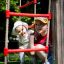 Bambini che giocano su Six angle single slide con corde da arrampicata rosse e bianche