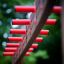 Struttura da arrampicata per parco giochi Six angle single slide con maniglie rosse